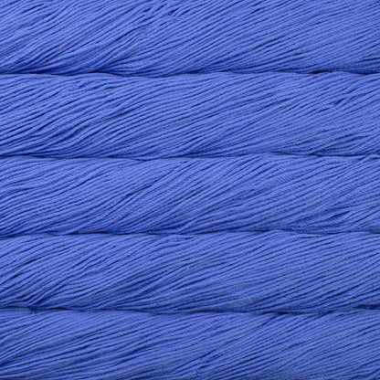 Malabrigo Rios Worsted Yarn color 654 Uruguay