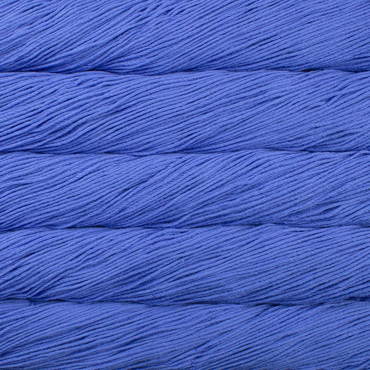 Malabrigo Rios Worsted Yarn color 654 Uruguay