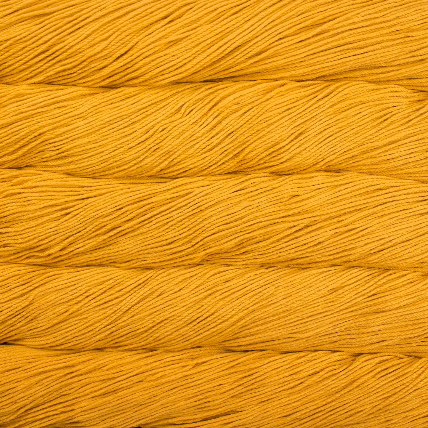 Malabrigo Rios Worsted Yarn color 655 Chaja