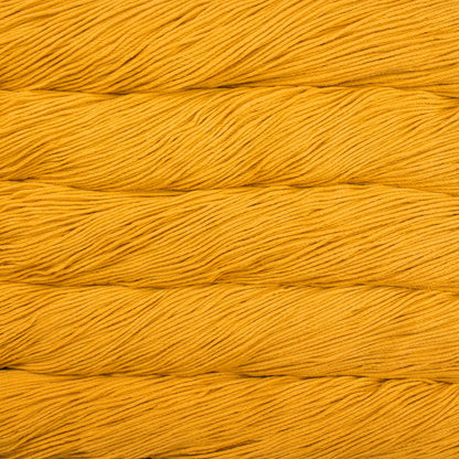 Malabrigo Rios Worsted Yarn color 655 Chaja