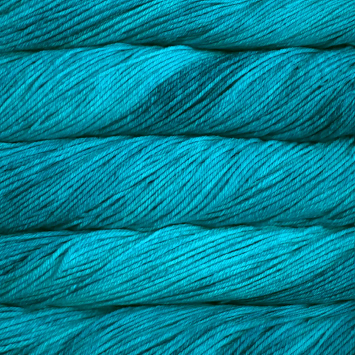 Malabrigo Rios Worsted Yarn color 683 Cian