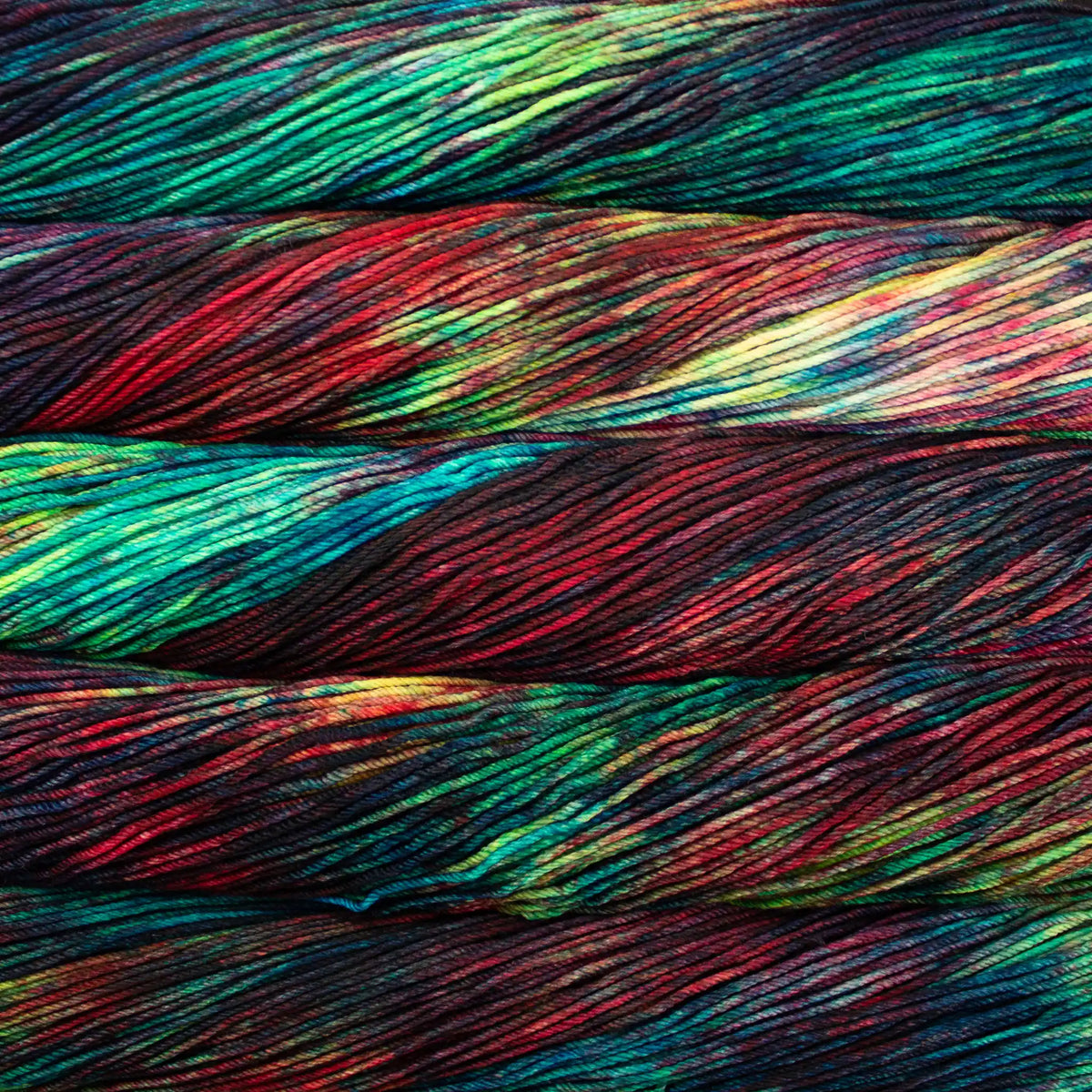 Malabrigo Rios Worsted Yarn color 684 Camaleon