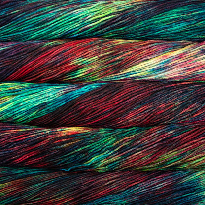 Malabrigo Rios Worsted Yarn color 684 Camaleon