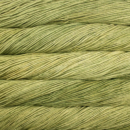 Malabrigo Rios Worsted Yarn color 688 Yerba