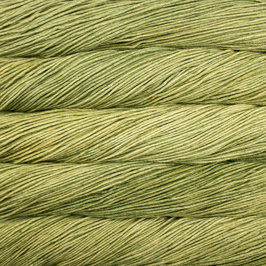 Malabrigo Rios Worsted Yarn color 688 Yerba