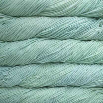 Malabrigo Rios Worsted Yarn color 708 Cucumber