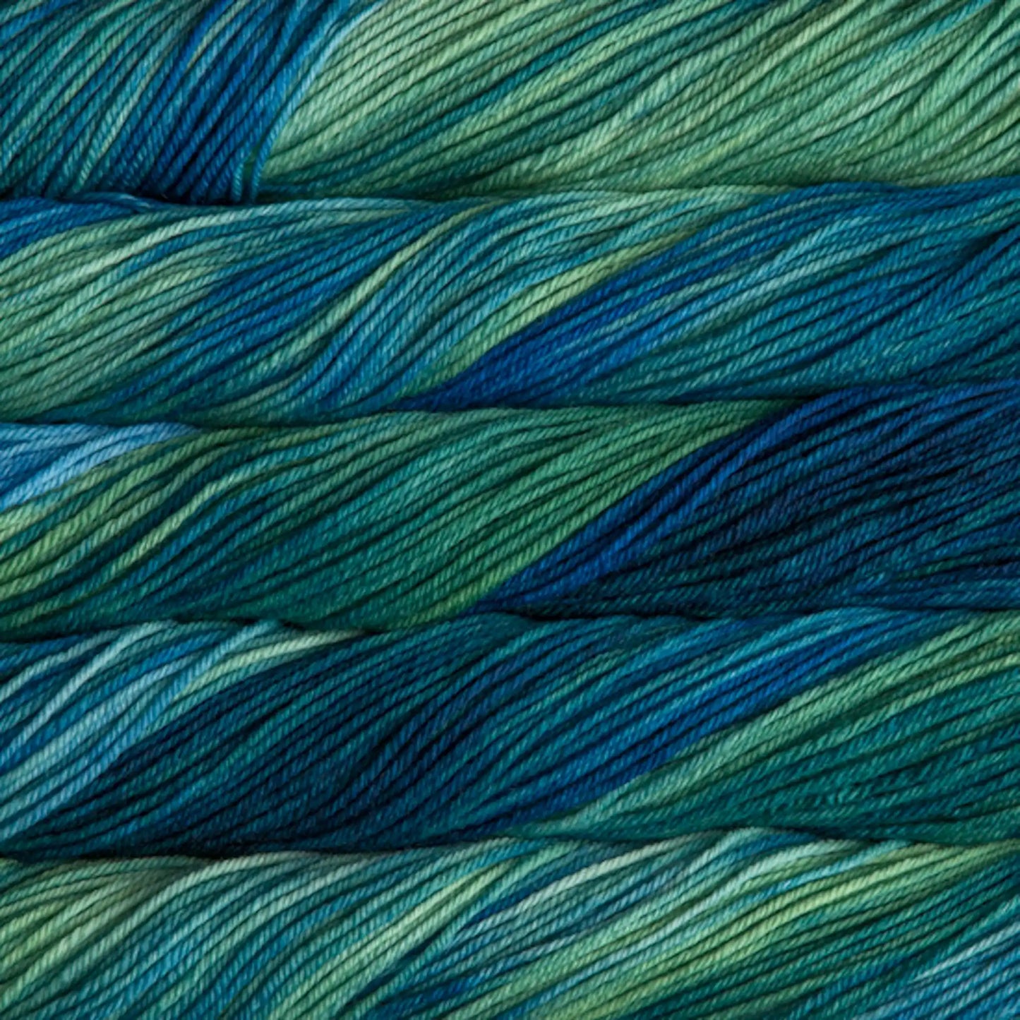 Malabrigo Rios Worsted Yarn color 809 Solis