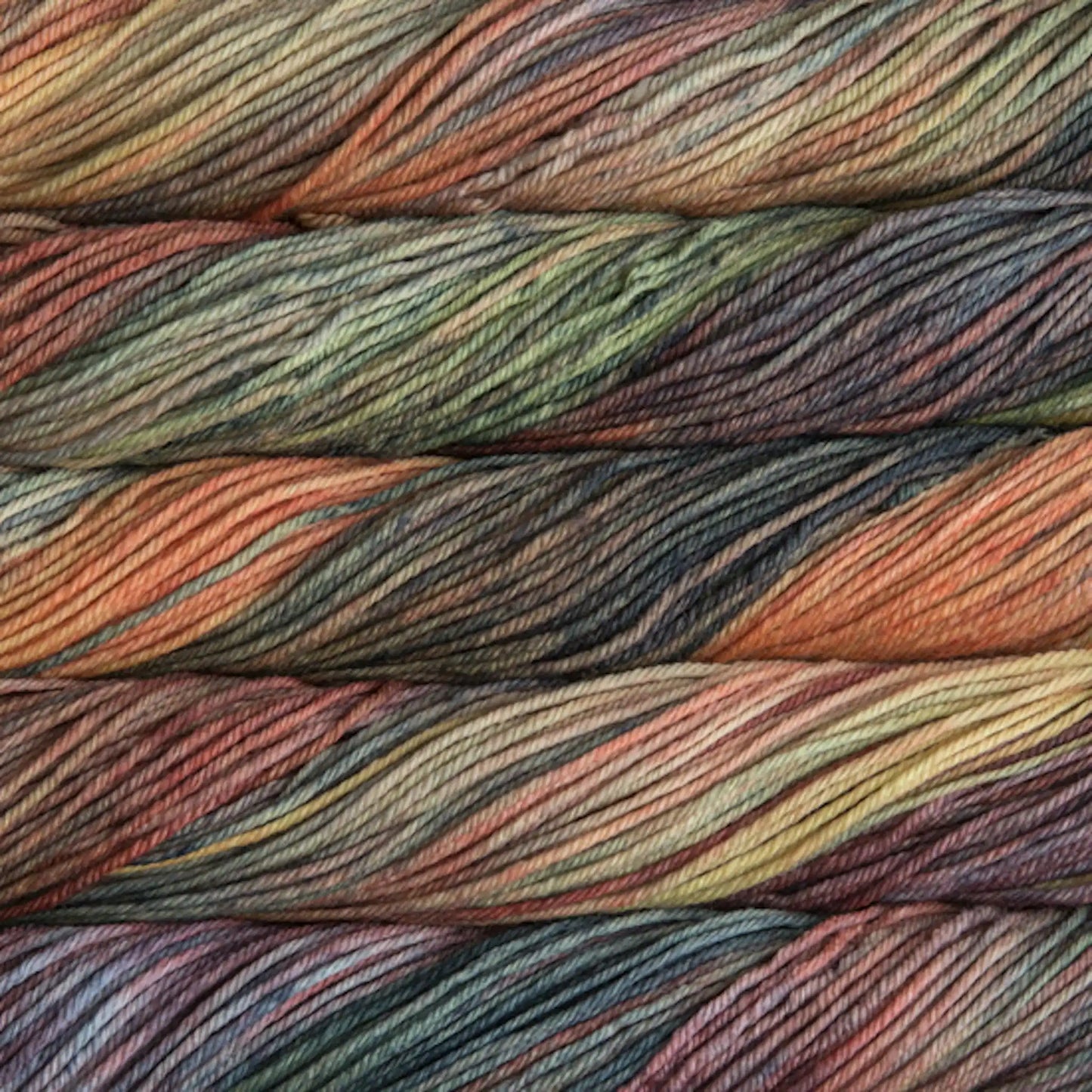 Malabrigo Rios Worsted Yarn color 859 Primavera