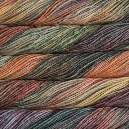 Malabrigo Rios Worsted Yarn color 859 Primavera