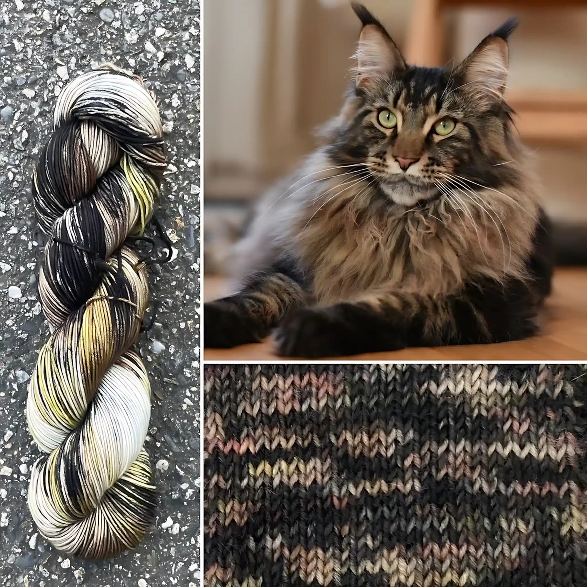Maine Coon Cat - Merino/Nylon Alder Fingering Yarn - Round Mountain Fibers