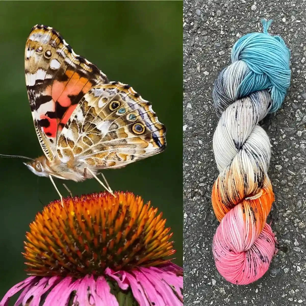 Painted Lady Butterfly - Merino/Nylon Alder Fingering Yarn