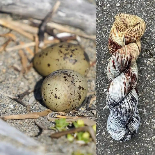 Arctic Tern Eggs - Merino/Nylon Alder Fingering Yarn