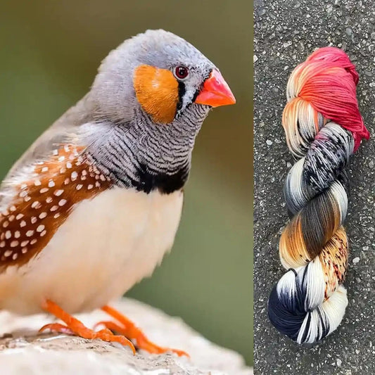 Zebra Finch - Merino/Nylon Alder Fingering Yarn
