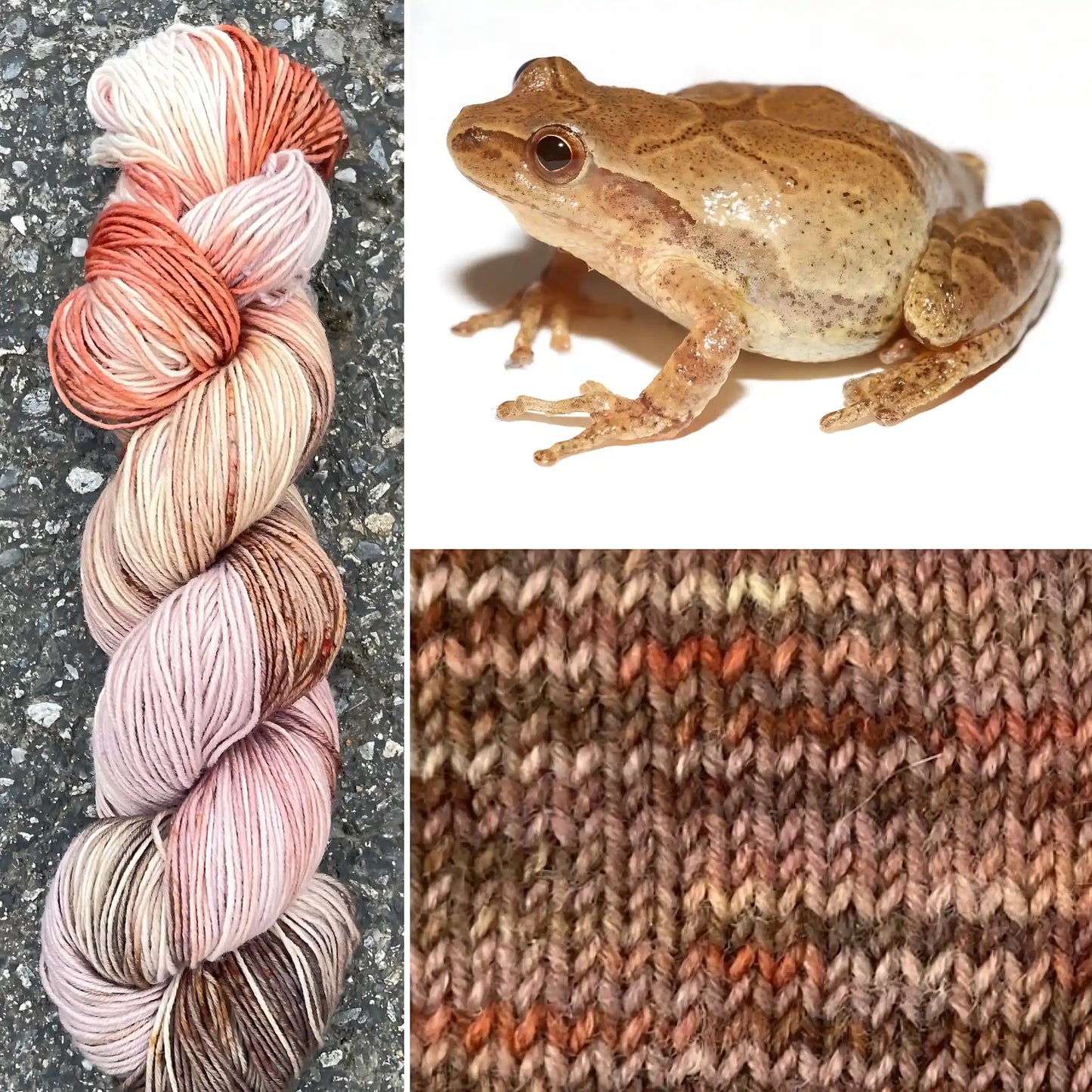 Spring Pepper - Merino/Nylon Alder Fingering Yarn - Round Mountain Fibers