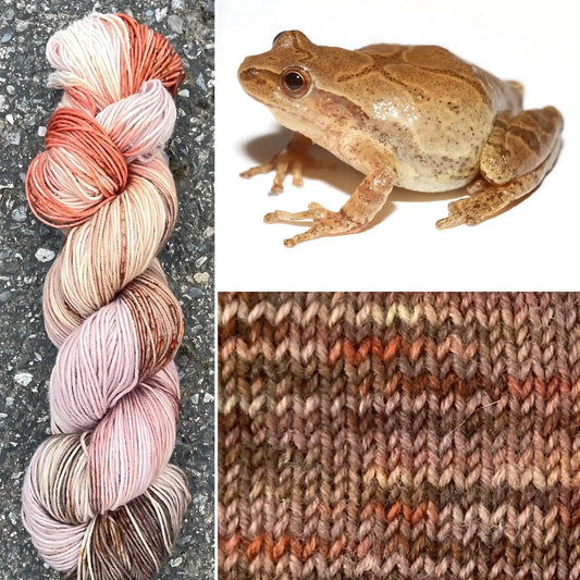 Spring Pepper - Merino/Nylon Alder Fingering Yarn - Round Mountain Fibers