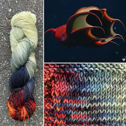 Round Mountain Fibers | Spruce Fingering Colorways - Paradise Fibers