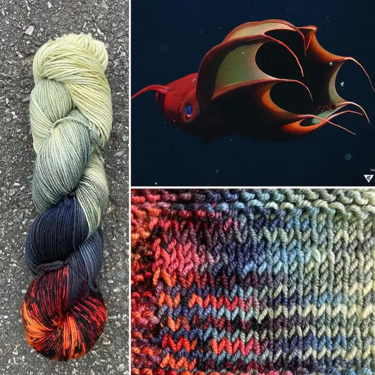 Vampire Squid - Superwash Merino Spruce Fingering Yarn