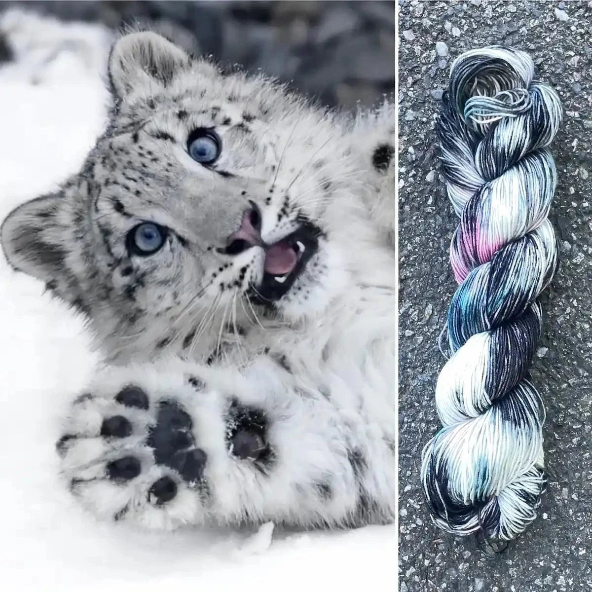 Snow Leopard - Superwash Merino Spruce Fingering Yarn