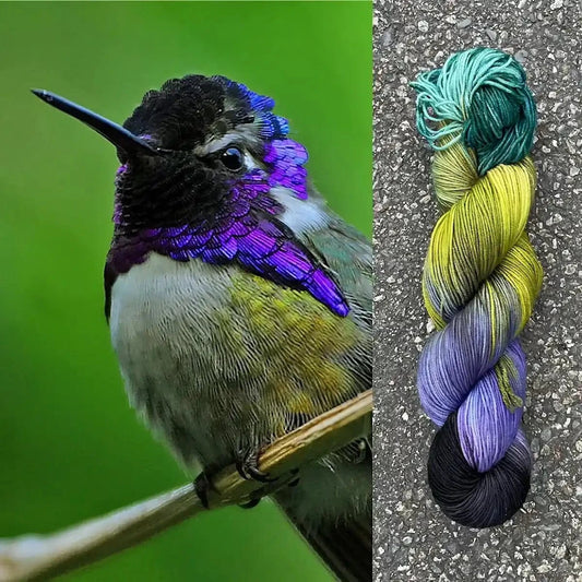 Round Mountain Fibers | Spruce Fingering Colorways - Paradise Fibers