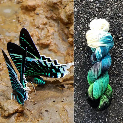 Round Mountain Fibers | Spruce Fingering Colorways - Paradise Fibers