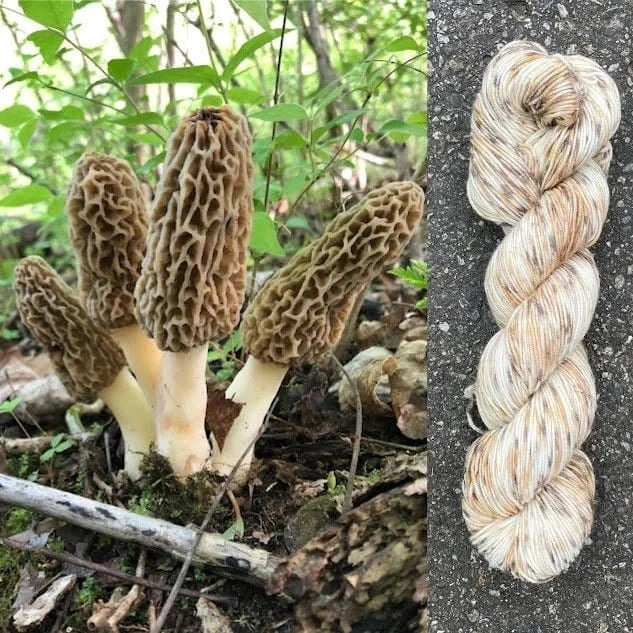 Morel Mushroom - Superwash Merino Spruce Fingering Yarn