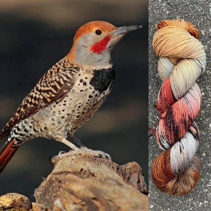 Round Mountain Fibers | Spruce Fingering Colorways - Paradise Fibers