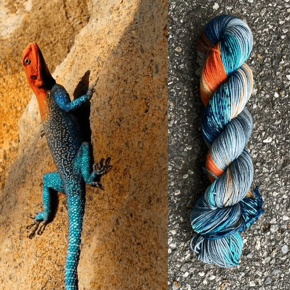 Round Mountain Fibers | Spruce Fingering Colorways - Paradise Fibers
