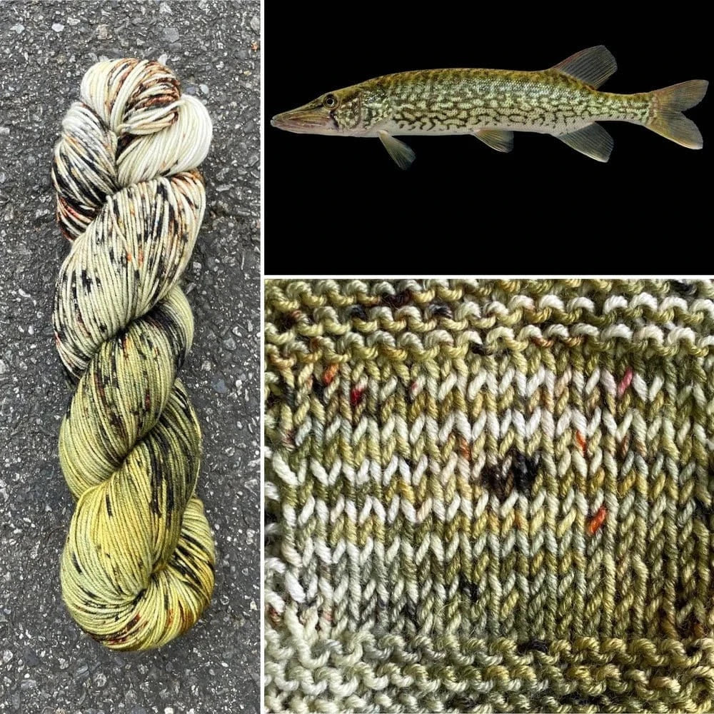 Round Mountain Fibers | Willow Worsted Colorways - Paradise Fibers