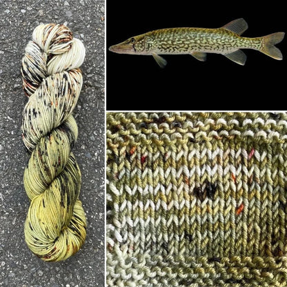Round Mountain Fibers | Willow Worsted Colorways - Paradise Fibers