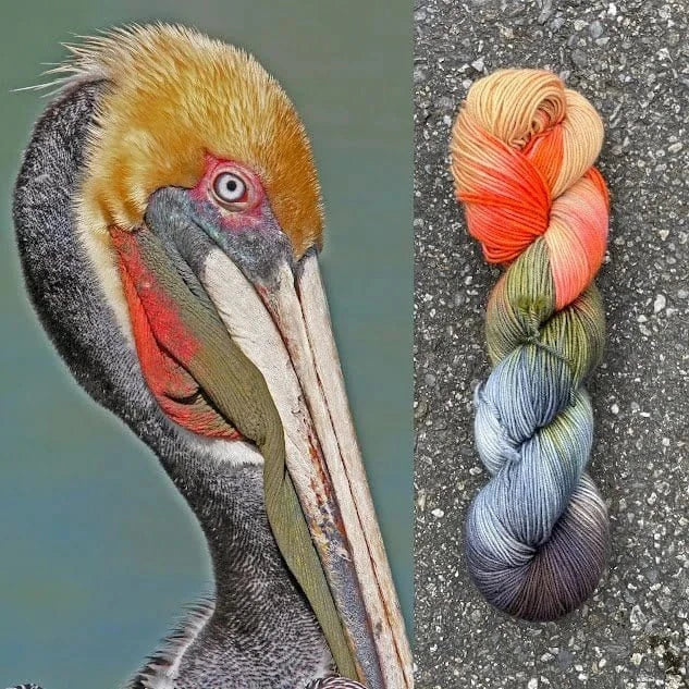 Round Mountain Fibers | Willow Worsted Colorways - Paradise Fibers