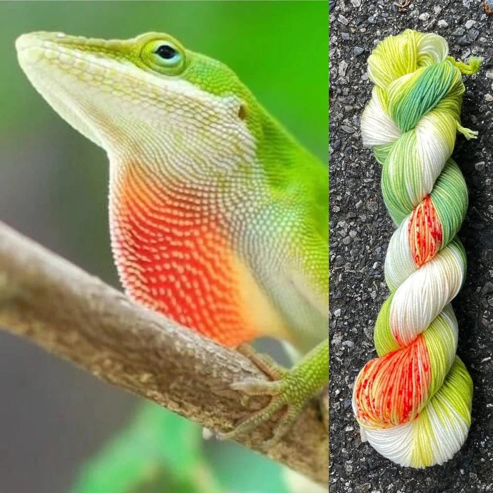 Round Mountain Fibers | Willow Worsted Colorways - Paradise Fibers