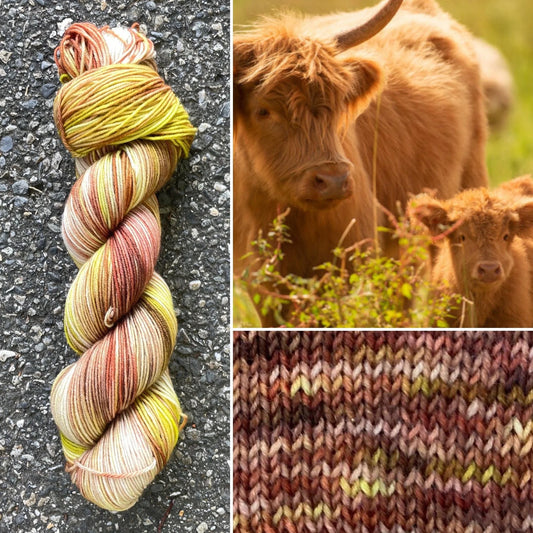 Scottish Highland Cow colorway skein, Round Mountain Fibers Alder Fingering yarn