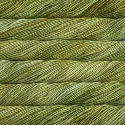 Malabrigo Silky Merino DK Yarn color 037 Lettuce