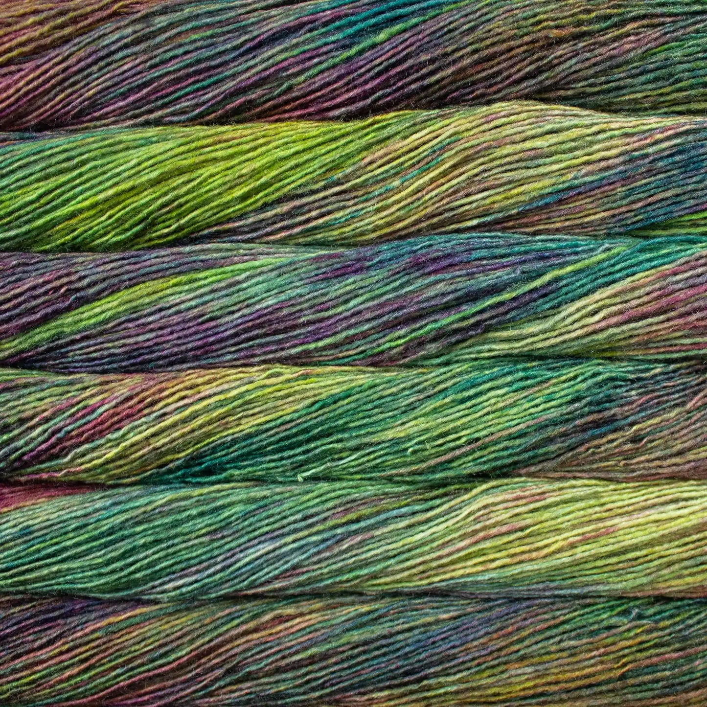 Malabrigo Silky Merino DK Yarn color 866 Arco Iris