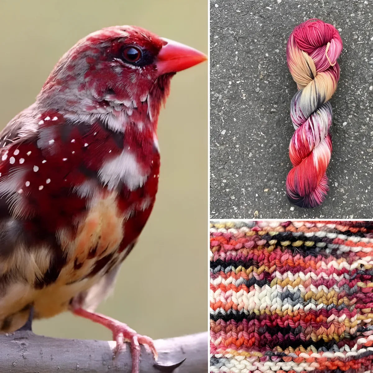 Strawberry Finch - Superwash Merino Spruce Fingering Yarn