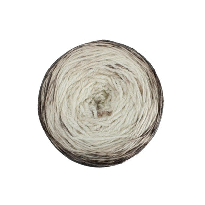 Malabrigo Metamorphosis Sock Light Fingering Yarn color 325 Gravity