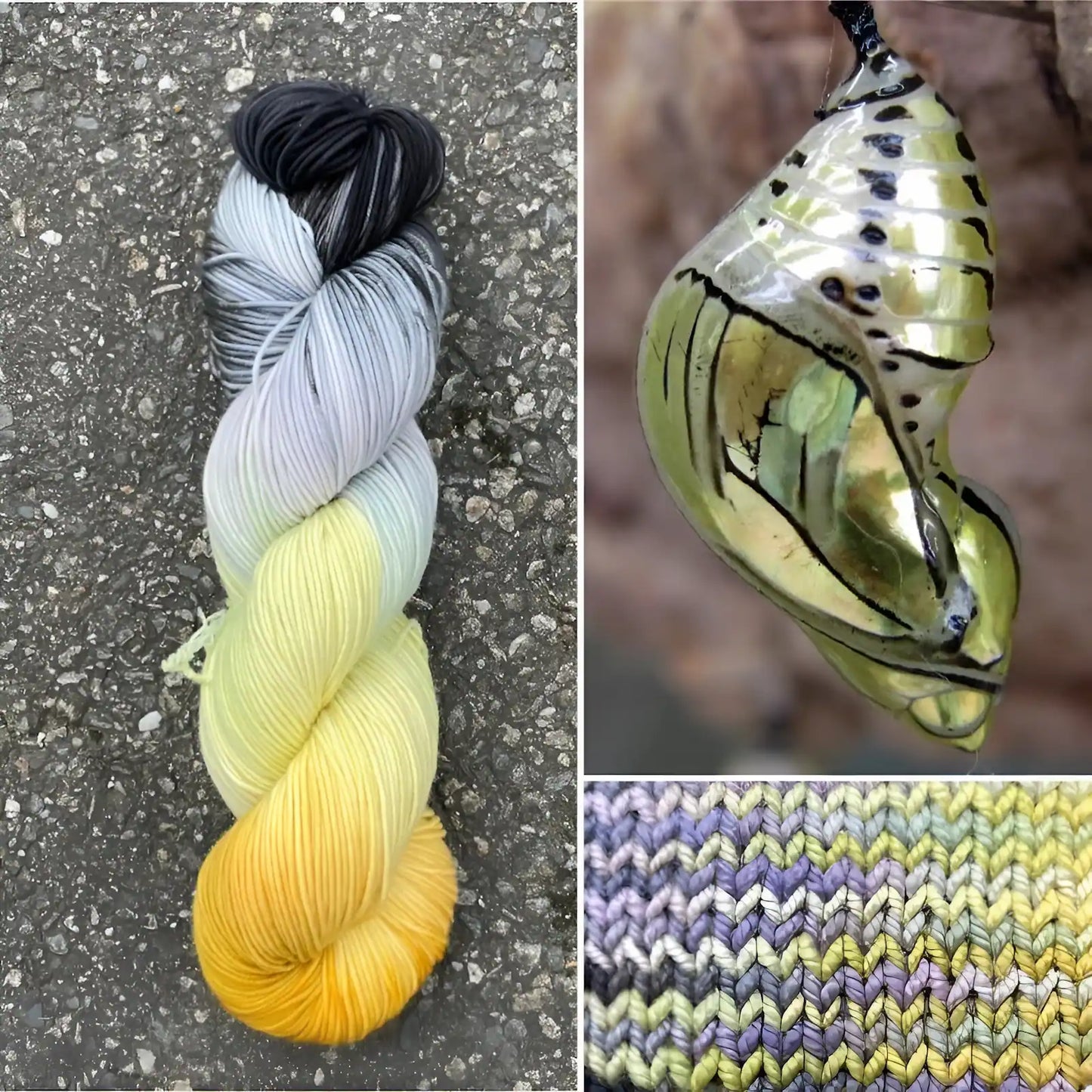 Tigerwing Chrysalis - Merino/Nylon Alder Fingering Yarn - Round Mountain Fibers