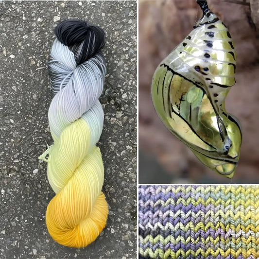 Tigerwing Chrysalis - Superwash Merino Spruce Fingering Yarn