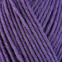 33146 Aster