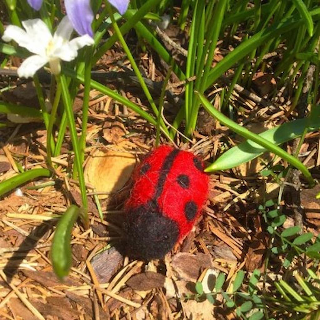 Woolpets Easy Wool Felting Kits - Paradise Fibers