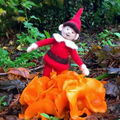 Woolpets Intermediate Wool Felting Kits - Paradise Fibers