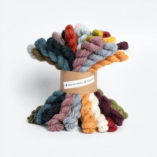 Blue Sky Fibers 27 Color Woolstok Light Bundle