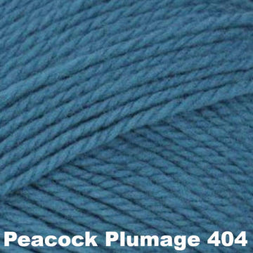 Brown Sheep Nature Spun Worsted Yarn-Yarn-Peacock Plumage 404 (discontinued)-