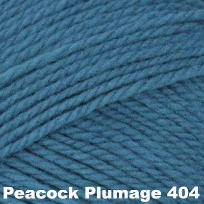 Brown Sheep Nature Spun Worsted Yarn-Yarn-Peacock Plumage 404 (discontinued)-