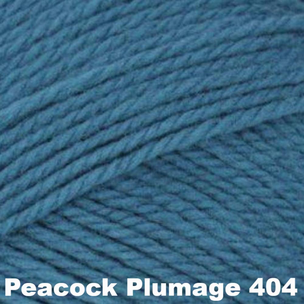 Brown Sheep Nature Spun Worsted Yarn-Yarn-Peacock Plumage 404 (discontinued)-