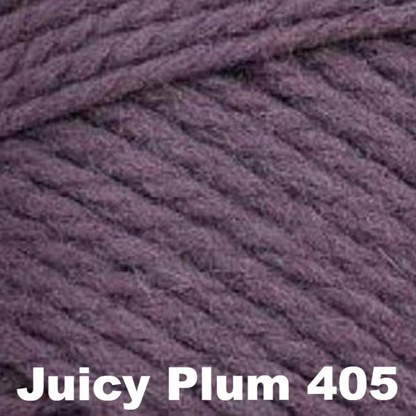 Brown Sheep Nature Spun Fingering Yarn-Yarn-Juicy Plum 405-
