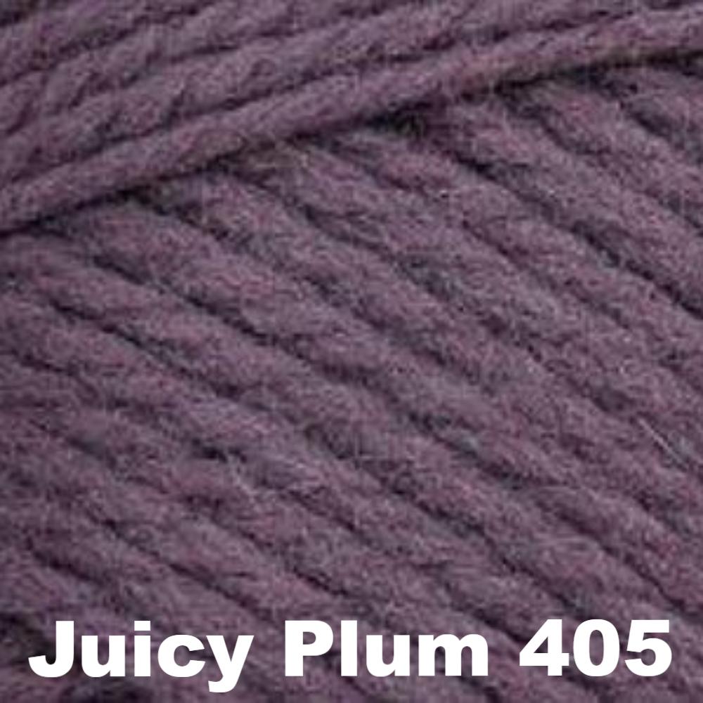 Brown Sheep Nature Spun Worsted Yarn-Yarn-Juicy Plum 405-