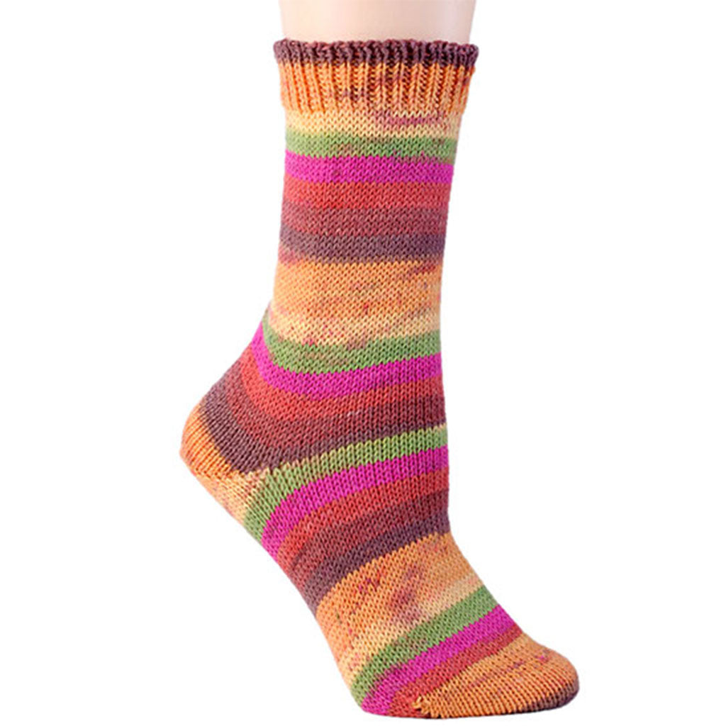 Color Akaro 1822. A self patterning skein of Berroco Comfort wool-free sock yarn.