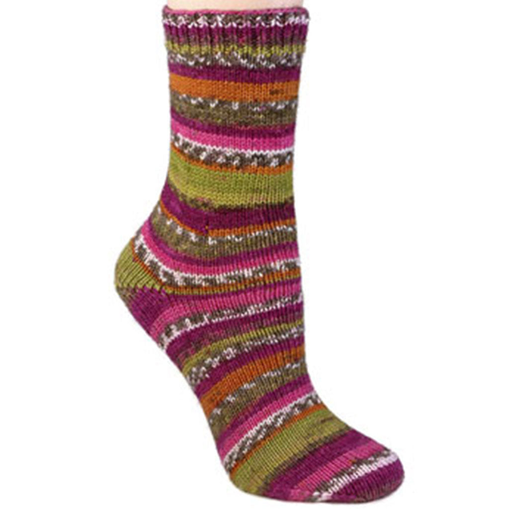 Color Cosmopolitan 1816. A self patterning skein of Berroco Comfort wool-free sock yarn.