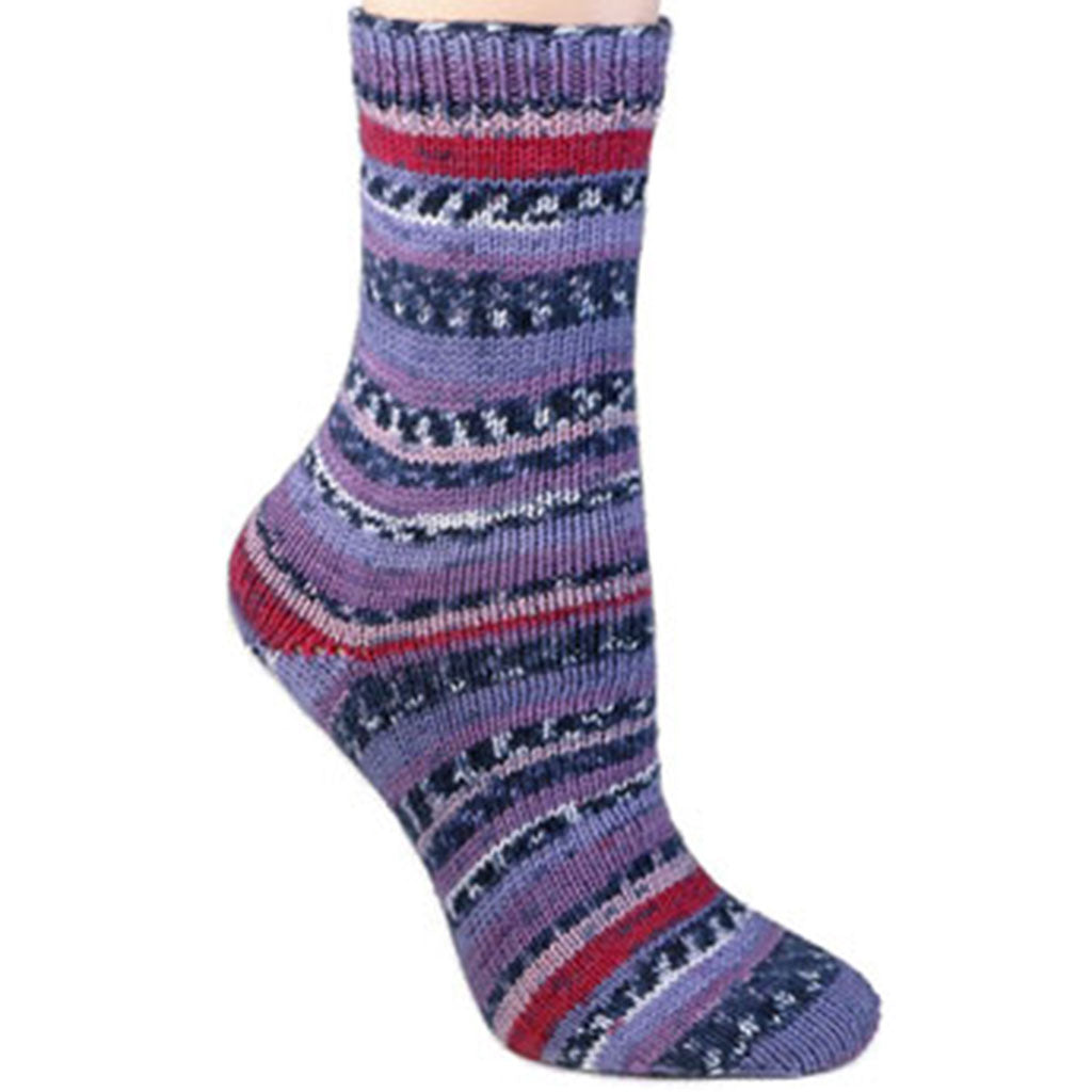 Color English Garden 1818. A self patterning skein of Berroco Comfort wool-free sock yarn.